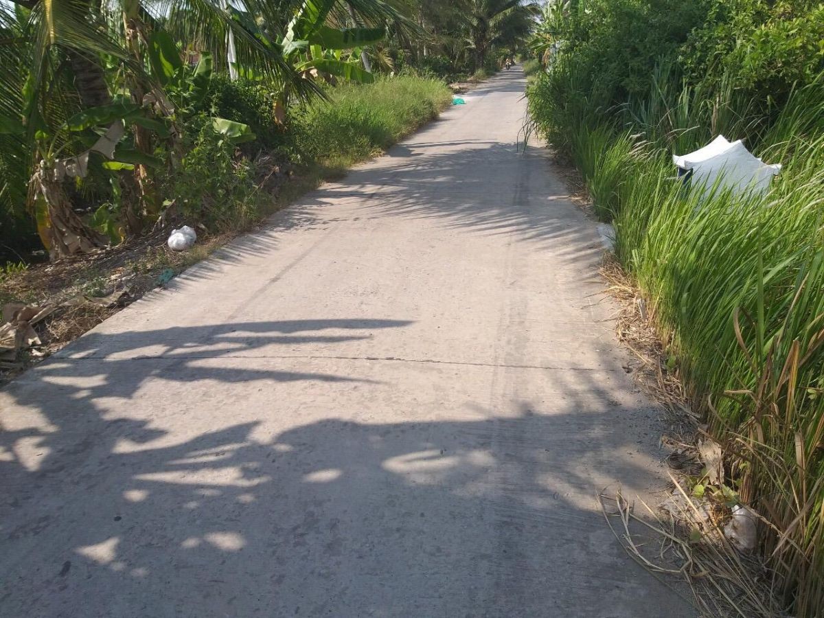 BÁN ĐẤT NỀN NGÔ THỊ SỸ, AN BÌNH, RẠC GIÁ, KIÊN GIANG, 10.42*48m, 1 TỶ 250 TRIỆU.   (MSNV 05)