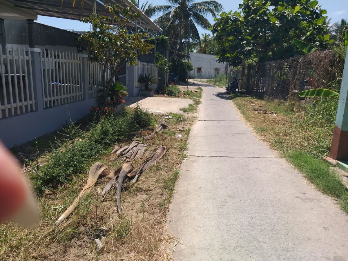 BÁN ĐẤT RUỘNG, VĨNH THÀNH, VĨNH HÒA HIỆP (TÀ NIÊN), CHÂU THÀNH, KIÊN GIANG, 27*55m. (MSNV 02)