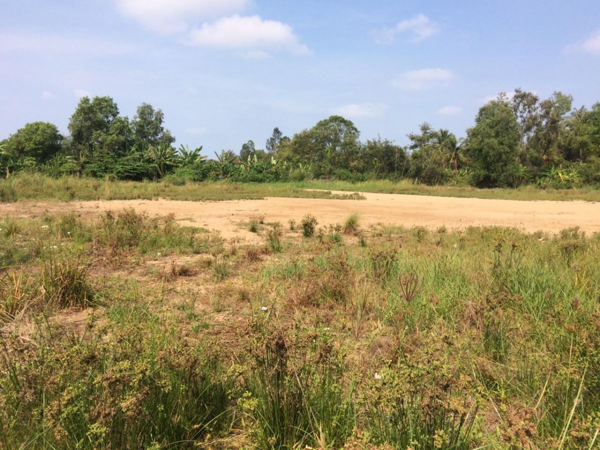 BÁN ĐẤT VĨNH QUANG, RẠCH GIÁ, KIÊN GIANG, 1 TỶ 650 / 1000m2. (MSNV 05)