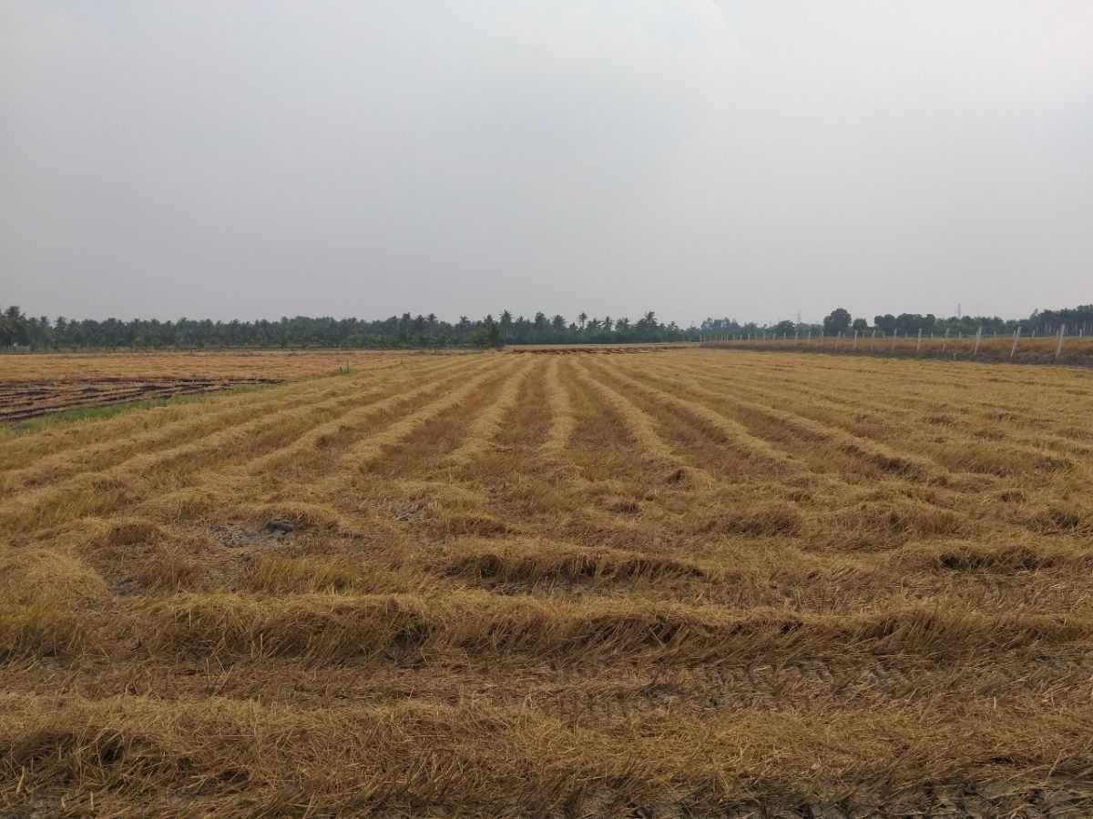 BÁN ĐẤT KHU PHỐ DÃY ỐC, VĨNH HIỆP, RẠCH GIÁ, KIÊN GIANG, 5xx TRIỆU/CÔNG    (MSNV 04)