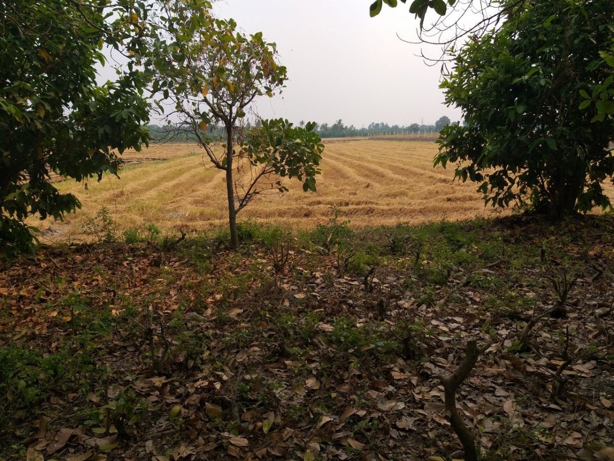 BÁN ĐẤT KHU PHỐ DÃY ỐC, VĨNH HIỆP, RẠCH GIÁ, KIÊN GIANG, 5xx TRIỆU/CÔNG    (MSNV 04)