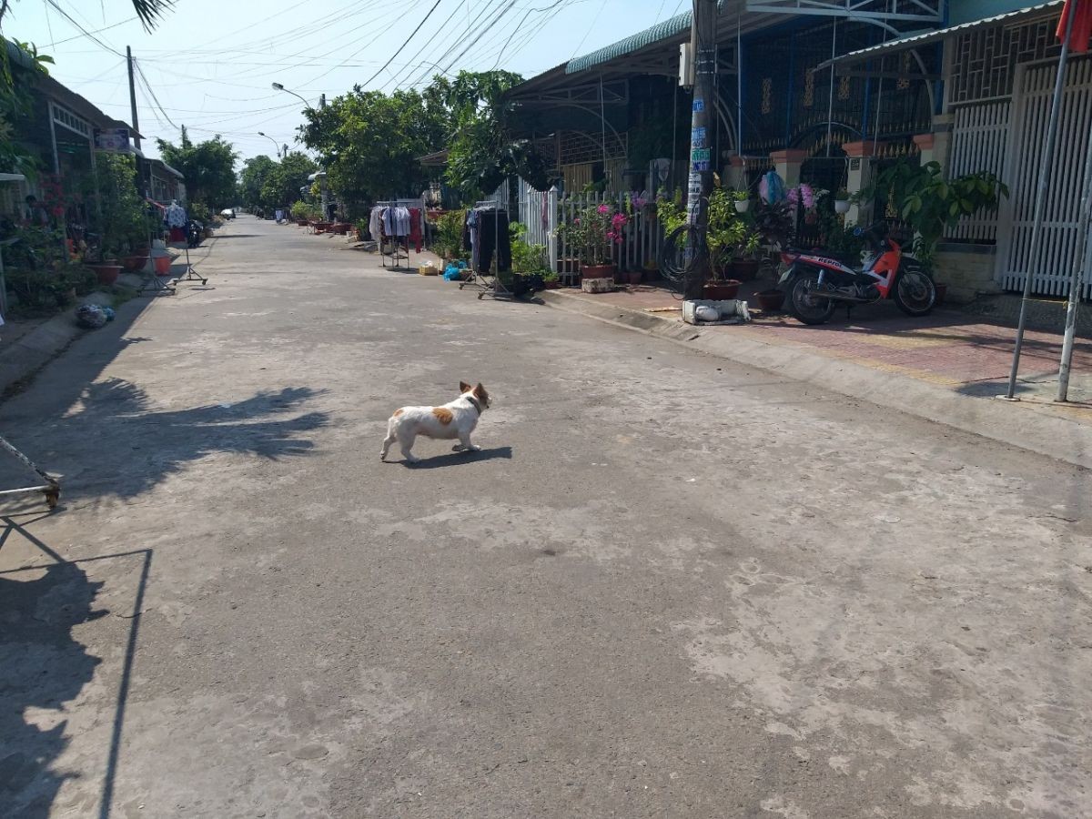 BÁN NHÀ VĨNH QUANG, RẠCH GIÁ, KIÊN GIANG, 4.5*21.6m, 1.3 TỶ   (MSNV 02)