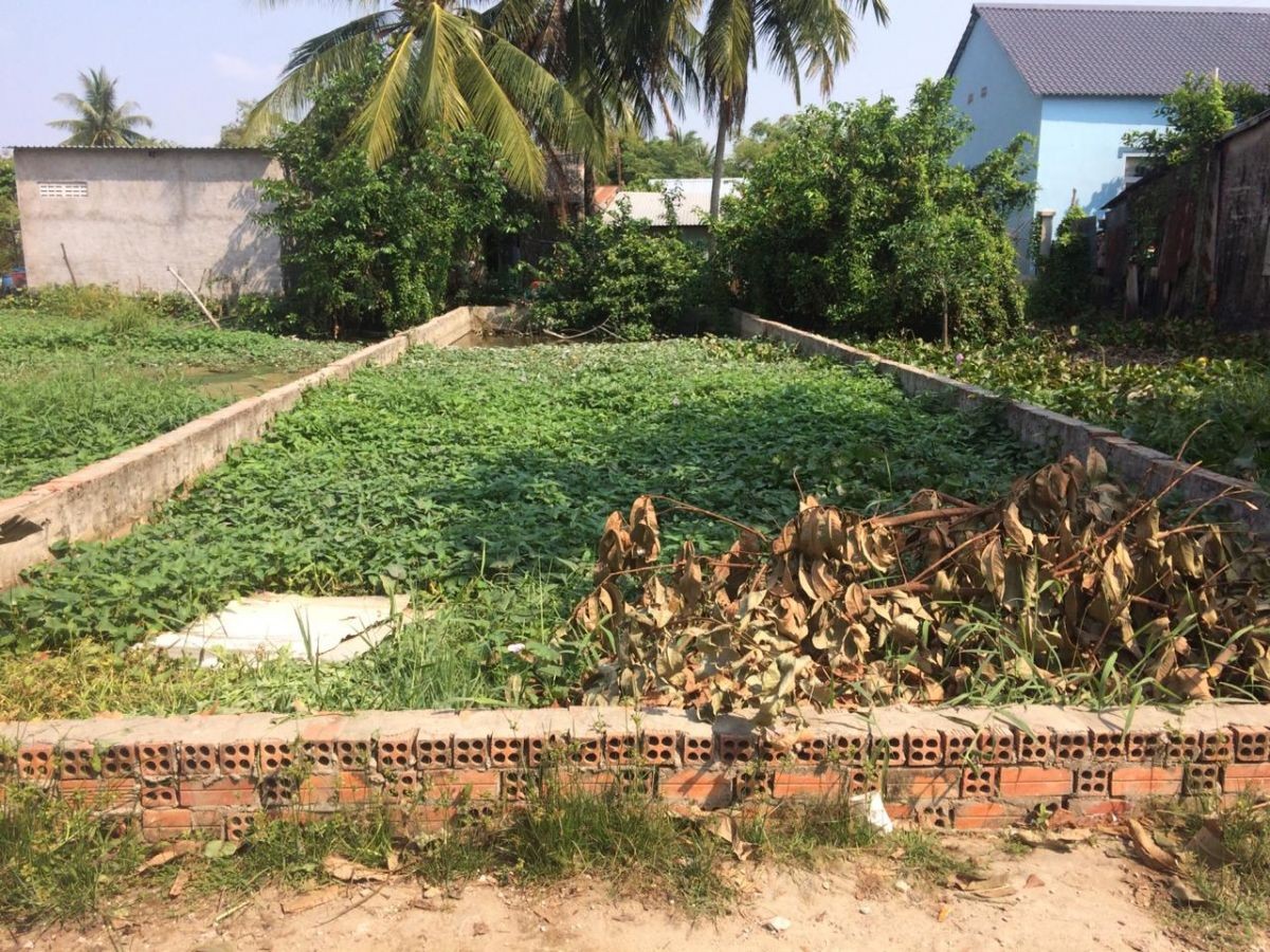 BÁN ĐẤT HẺM NGUYỄN VĂN NHỊ, VĨNH LỢI, RẠCH GIÁ, KIÊN GIANG, 6*21m, 3xx TRIỆU   (MSNV 05)