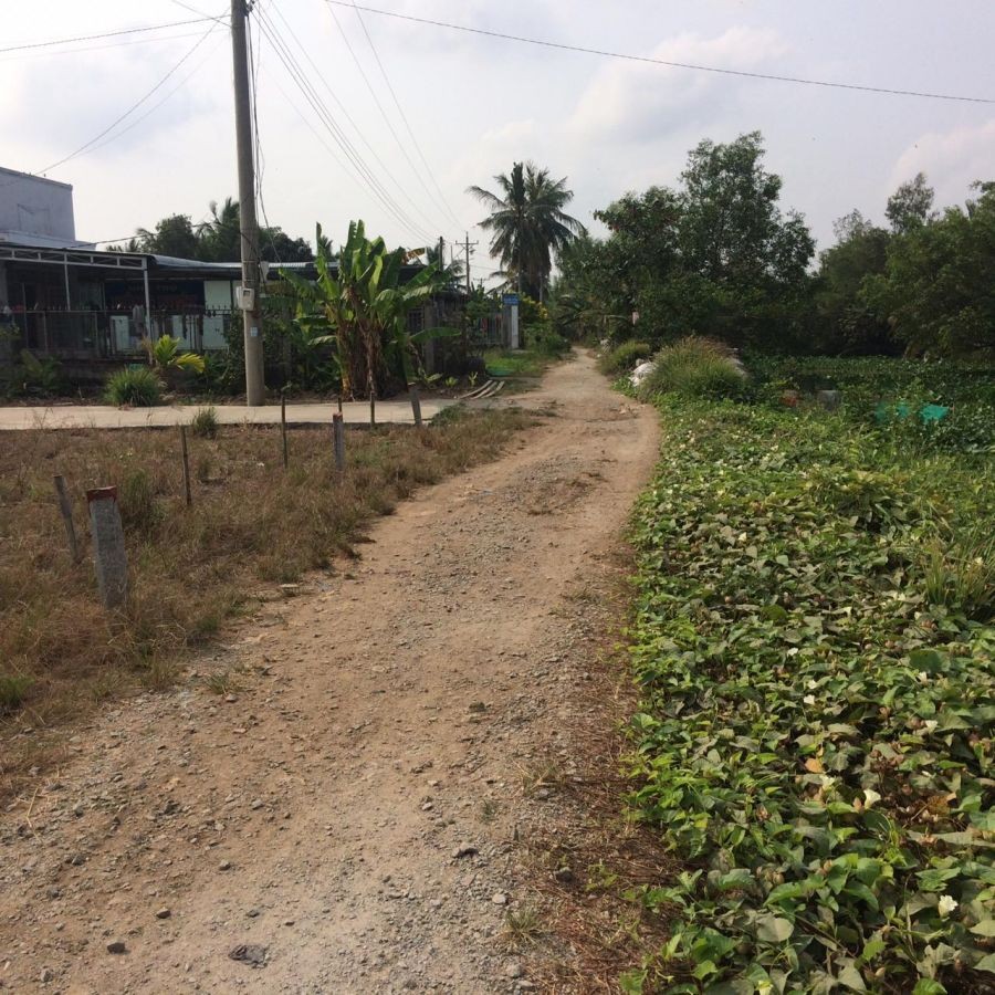 BÁN ĐẤT THẠNH LỘC, CHÂU THÀNH, KIÊN GIANG, 5*30m, 450 TRIỆU.   (MSNV 05)