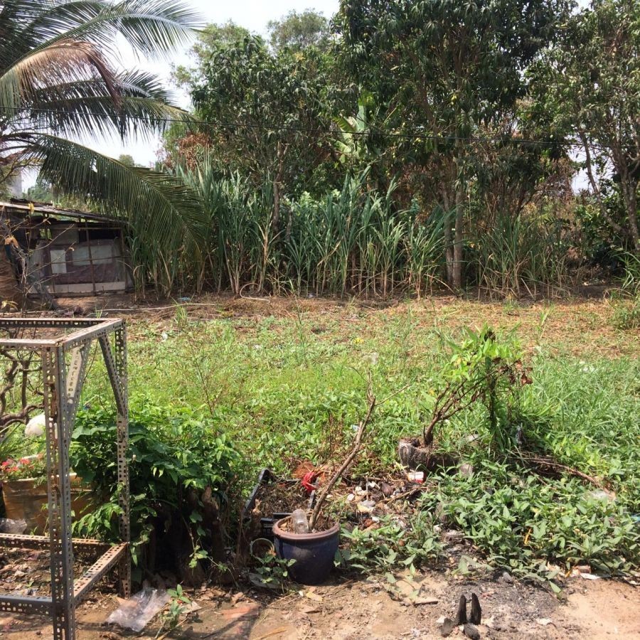 BÁN ĐẤT LỘ LIÊN HƯƠNG, VĨNH QUANG, RẠCH GIÁ, KIÊN GIANG, 10*30m, 1TỶ xx TRIỆU  (MSNV 05)
