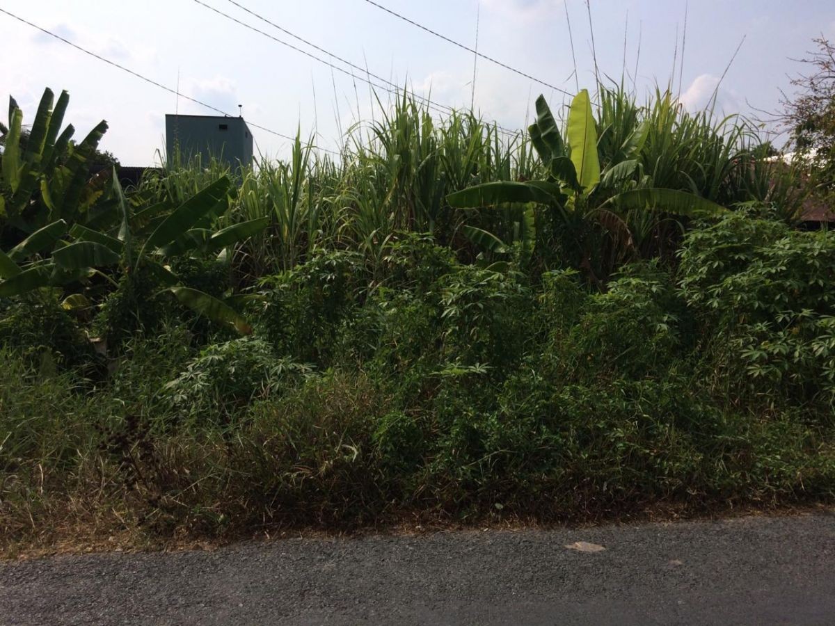 BÁN ĐẤT PHI THÔNG, RẠCH GIÁ, KIÊN GIANG, 12*63m, 1 TỶ xxx.   (MSNV 05)