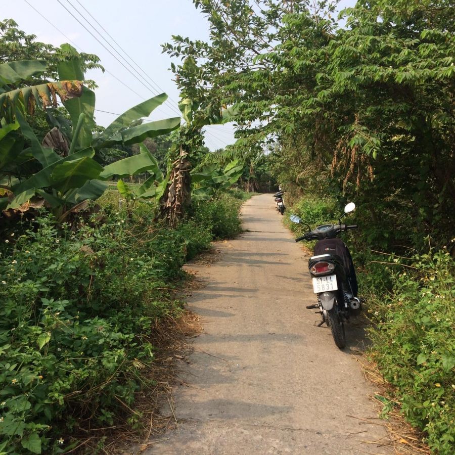 BÁN ĐẤT THẠNH LỘC, CHÂU THÀNH, KIÊN GIANG, 21*73m, 1.4 TỶ.  (MSNV 05)