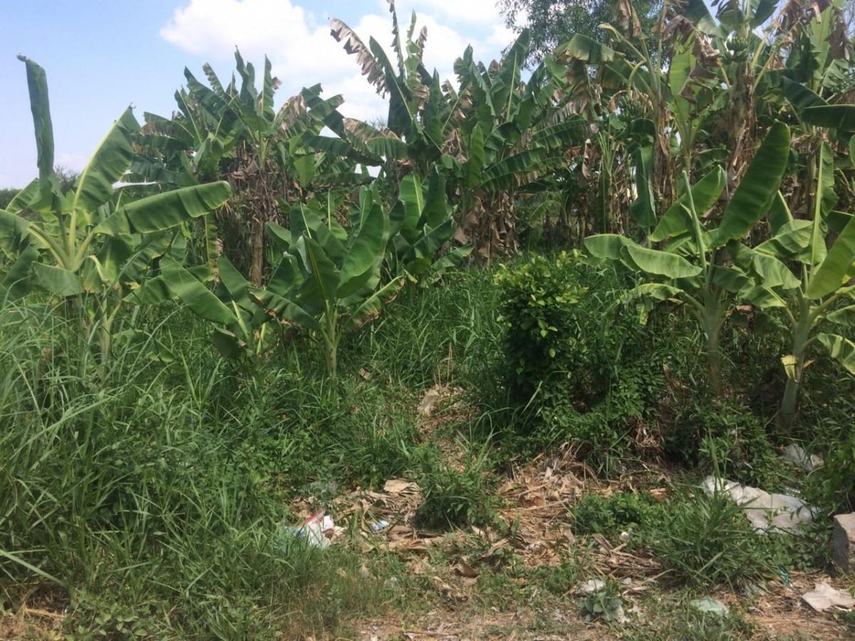BÁN ĐẤT HẺM QUANG TRUNG, VĨNH QUANG, RẠCH GIÁ, KIÊN GIANG, 7.5*20m, 750 TRIỆU.    (MSNV 05)