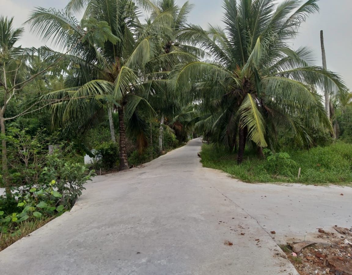 BÁN NHÀ YẾN ĐÀO DUY TỪ, RẠCH SỎI, KIÊN GIANG, 12*25m, 4.5 TỶ.    (MSNV 02)