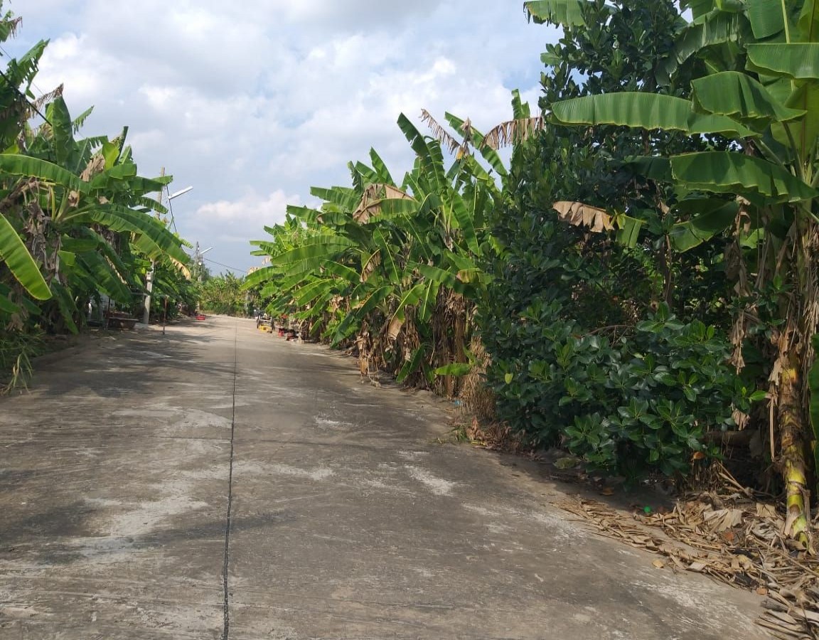 BÁN NỀN LÔ DC4 - 29, VĨNH THÔNG, RẠCH GIÁ, KIÊN GIANG, 5*18m, 6xx TRIỆU.  (MSNV 02)