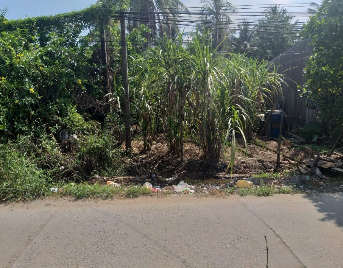 BÁN ĐẤT LÔ 1, AN BÌNH, BÌNH AN, CHÂU THÀNH, KIÊN GIANG, 16.5*42.7m, 2 TỶ xxx TR.  (MSNV 02)