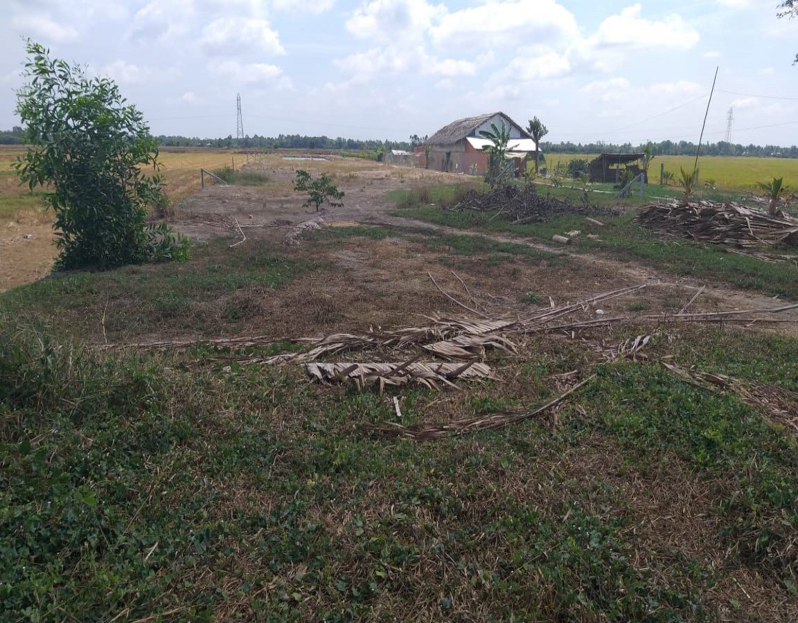 BÁN ĐẤT ĐỊNH HÒA, GÒ QUAO, KIÊN GIANG, 18*205m, 1xx TRIỆU/ M NGANG.   (MSNV 02)
