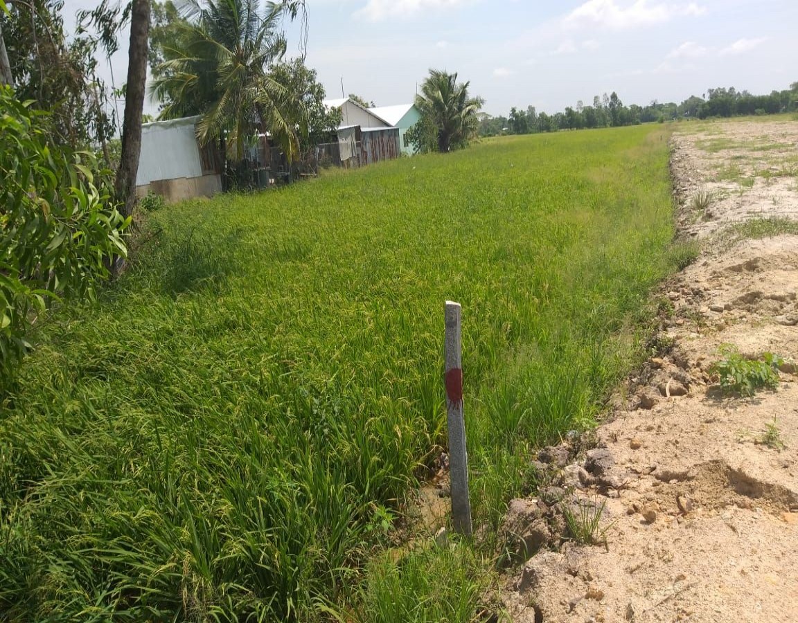 BÁN 7 CÔNG ĐẤT RUỘNG, MINH HÒA, CHÂU THÀNH, KIÊN GIANG, 3xx TR/ CÔNG.  (MSNV 02)