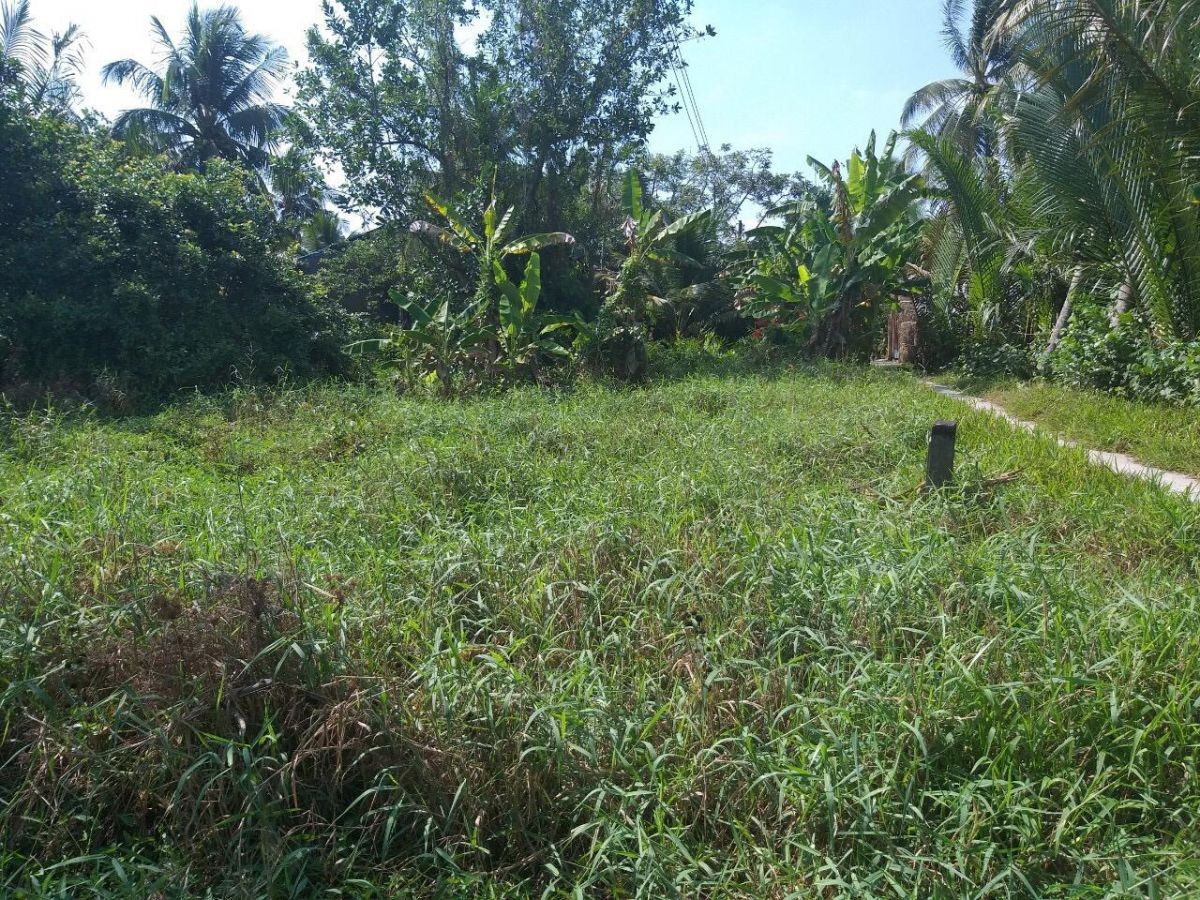 BÁN ĐẤT VĨNH HÒA PHÚ CHÂU THÀNH, KIÊN GIANG, 115*50m, 5 TỶ xxx TR.   (MSNV 05)