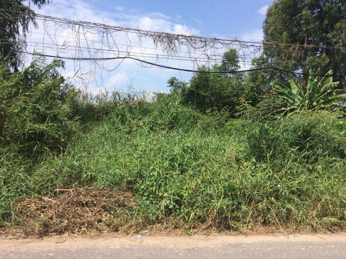 BÁN ĐẤT HUỲNH TẤN PHÁT, VĨNH HIỆP, RẠCH GIÁ, KIÊN GIANG, 5*28.5m, 1 TỶ xxx TR.   (MSNV 05)