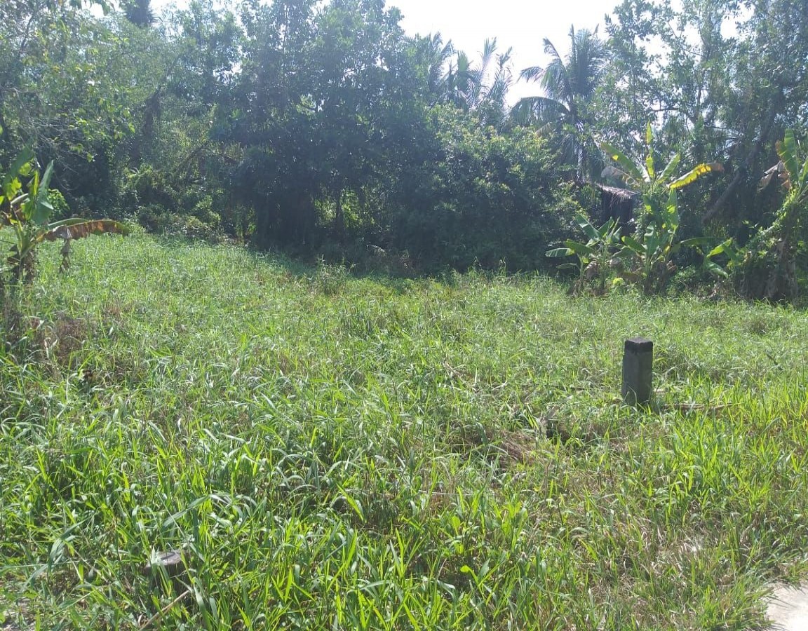 BÁN ĐẤT VĨNH HÒA HIỆP, CHÂU THÀNH, KIÊN GIANG, 33*185m, 4 TỶ xxx TR. (MSNV 02)