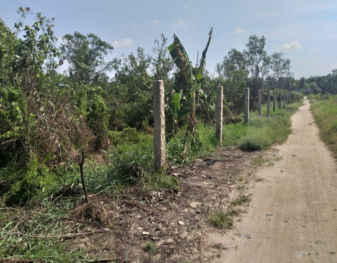 BÁN ĐÂT VĨNH HÒA HIỆP, CHÂU THÀNH, KIÊN GIANG, 36*81m, 3 TỶ xxx TR.    (MSNV 02)