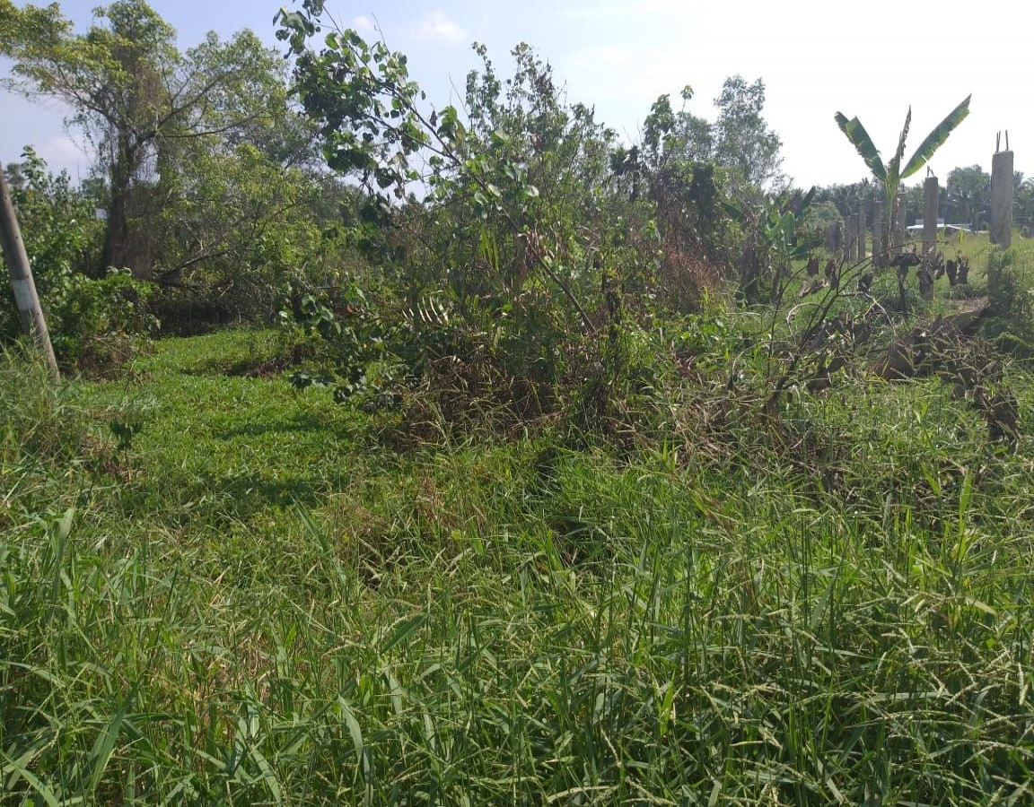 BÁN ĐÂT VĨNH HÒA HIỆP, CHÂU THÀNH, KIÊN GIANG, 36*81m, 3 TỶ xxx TR.    (MSNV 02)