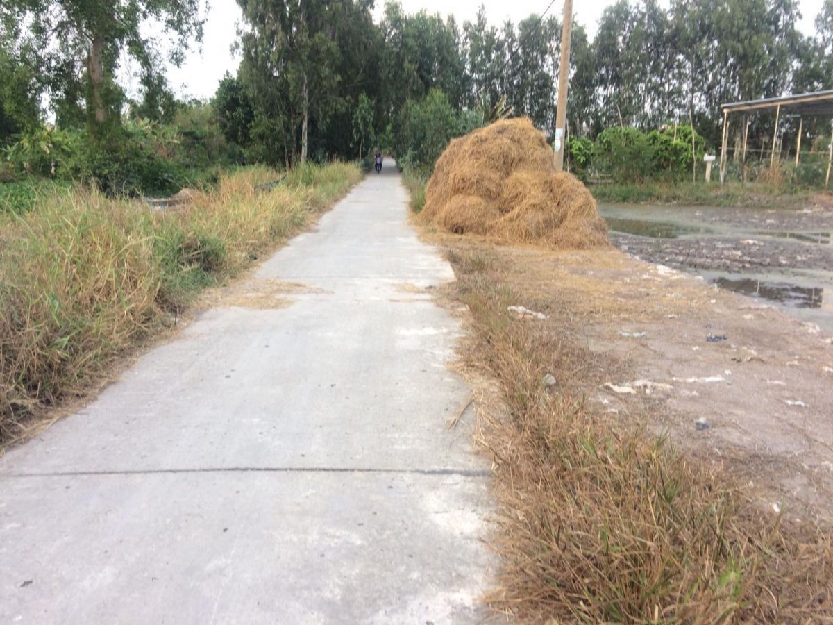 BÁN ĐẤT KHU PHỐ VĨNH VIỄN, VĨNH HIỆP, RẠCH GIÁ , KIÊN GIANG, 23*88m, 8xx tr/1000m2.    (MSNV 05)