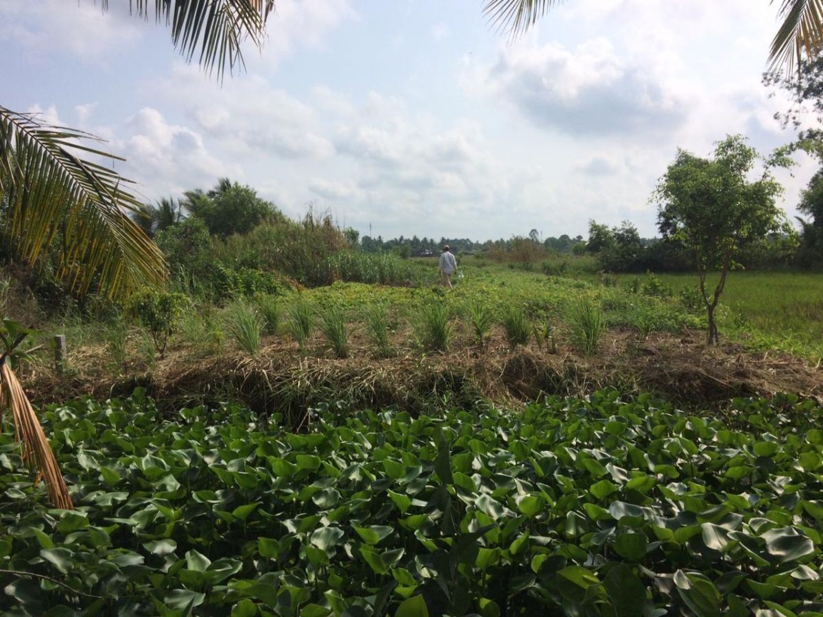 BÁN ĐẤT ĐƯỜNG NGUYỄN TRUNG NGẠN, RẠCH GIÁ, KIÊN GIANG, 1 TỶ xxxTR, 5*47M (MSNV05)