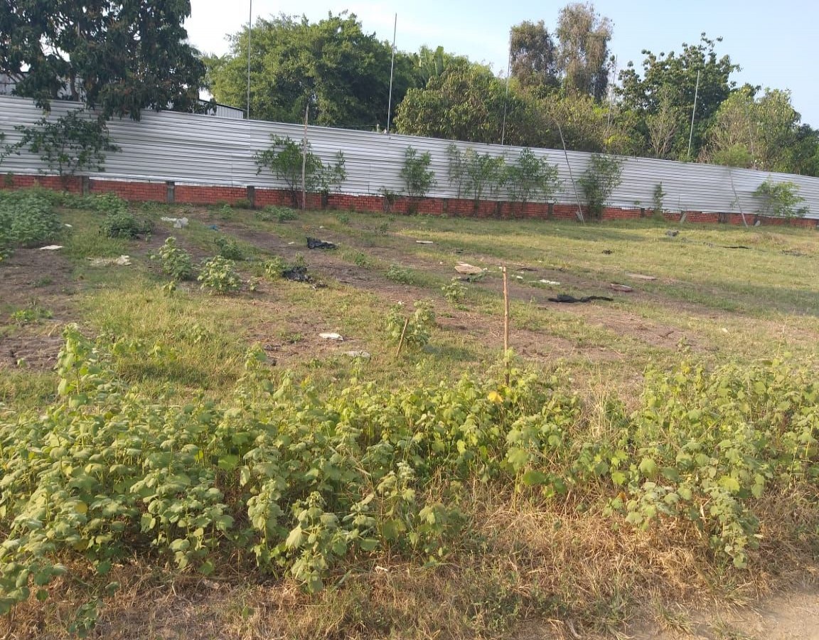 BÁN ĐẤT NỀN ĐƯỜNG VÕ TRƯỜNG TOẢN,VĨNH QUANG, RẠCH GIÁ, KIÊN GIANG, 7xx TR, 195,6M2  (MSNV02)