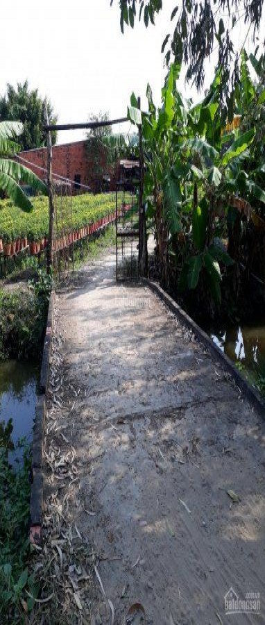 Bán đất thổ cư đường Võ Trường Toản, Vĩnh Quang, Rạch Giá