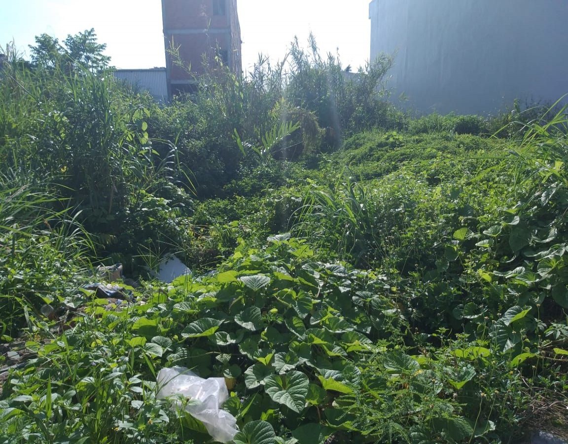 BÁN ĐẤT NỀN PHẠM HÙNG, AN HÒA, RẠCH GIÁ, KIÊN GIANG, 2 TỶ xxx TR, 5X30 M2, (MSNV02)