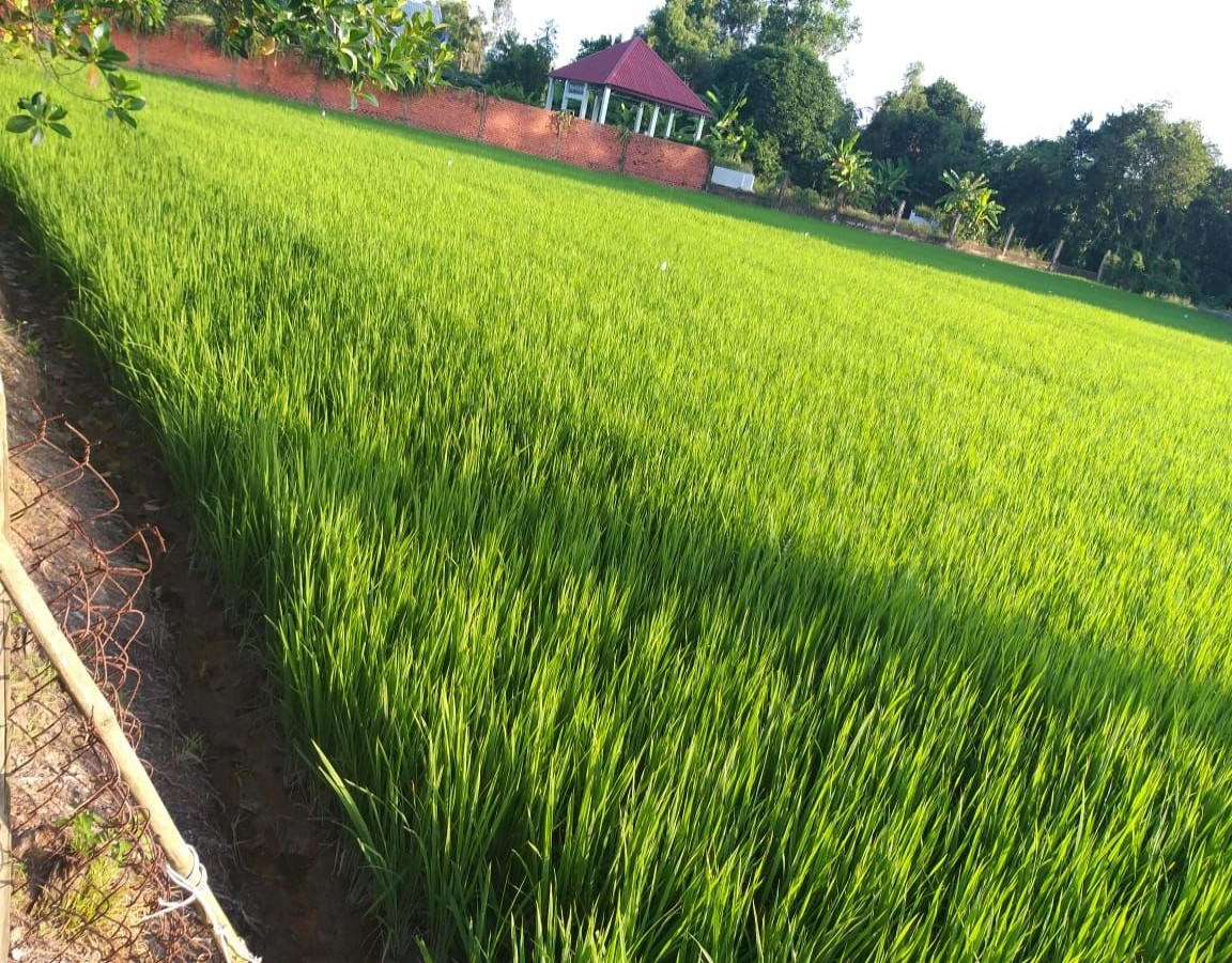 Bán nhà cóng thầy xêp, xã Mỹ Lâm, Hòn Đất