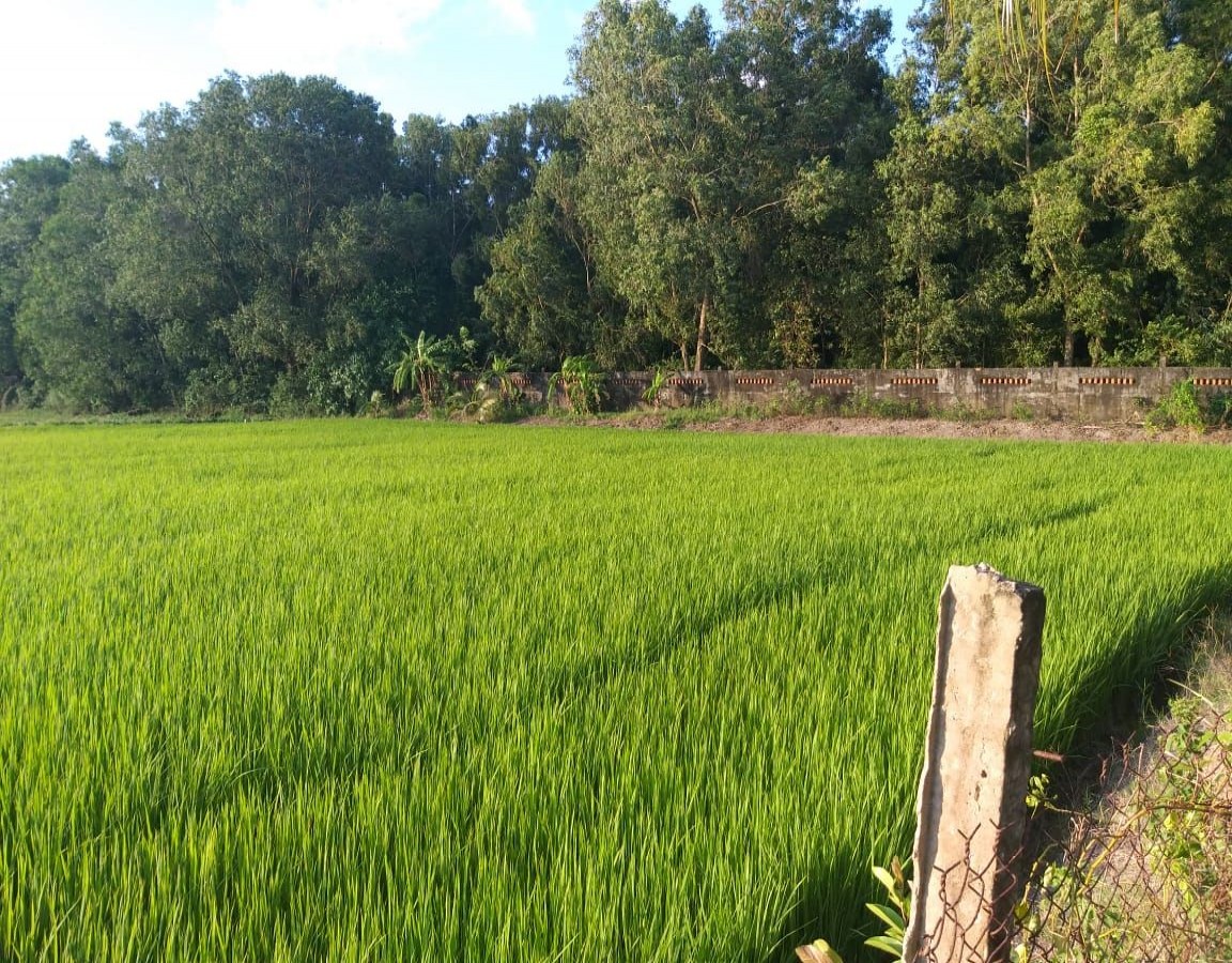 Bán nhà cóng thầy xêp, xã Mỹ Lâm, Hòn Đất