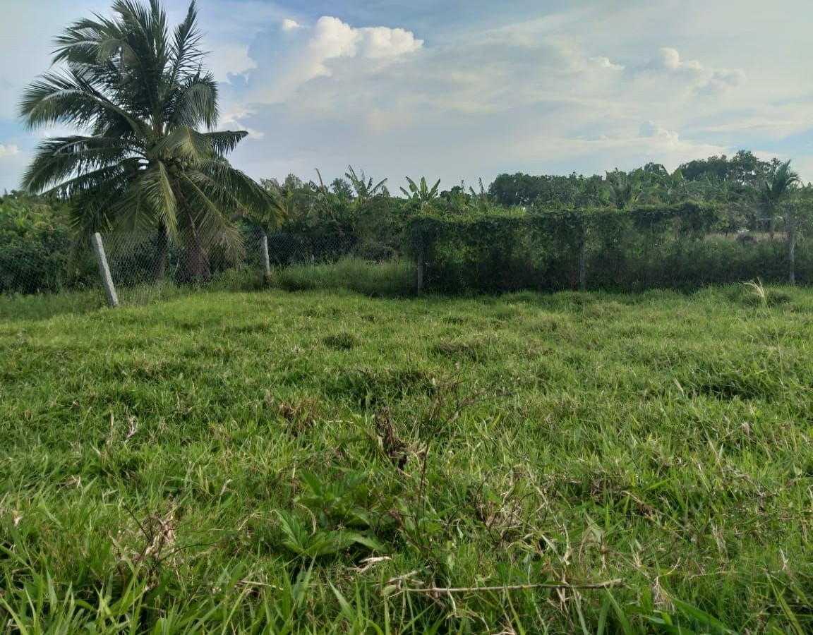 Bán đất đê quốc phong, xã Mỹ Lâm, huyện Hòn Đất . Đất Thuộc dự án 3/2 nói dài