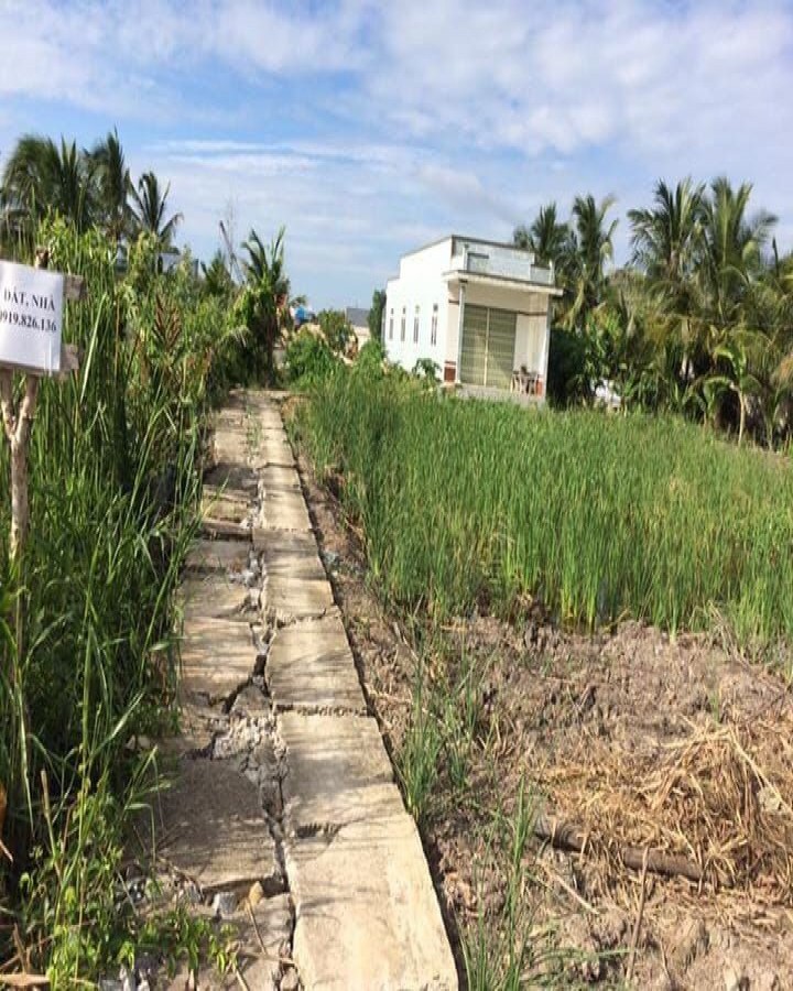 Bán nhà ấp Tân Đời, xã Vĩnh Tuy, huyện Gò Quao