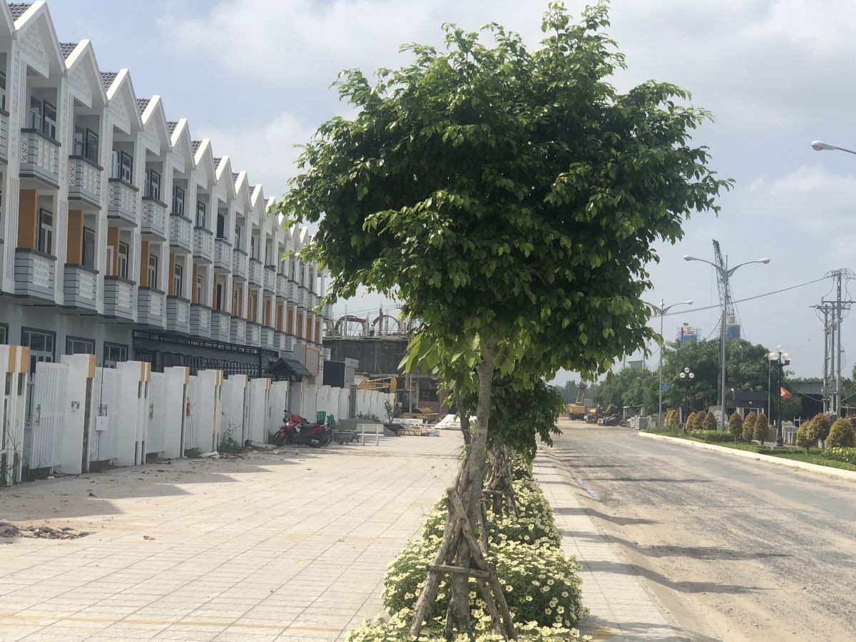 Nhà Thô P37 Tôn Đức Thắng