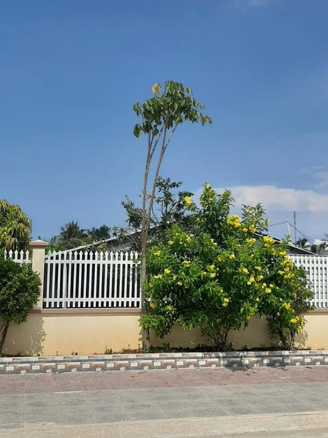 5 nền mặt tiền Lộ 20m Trung tâm Rạch Giá