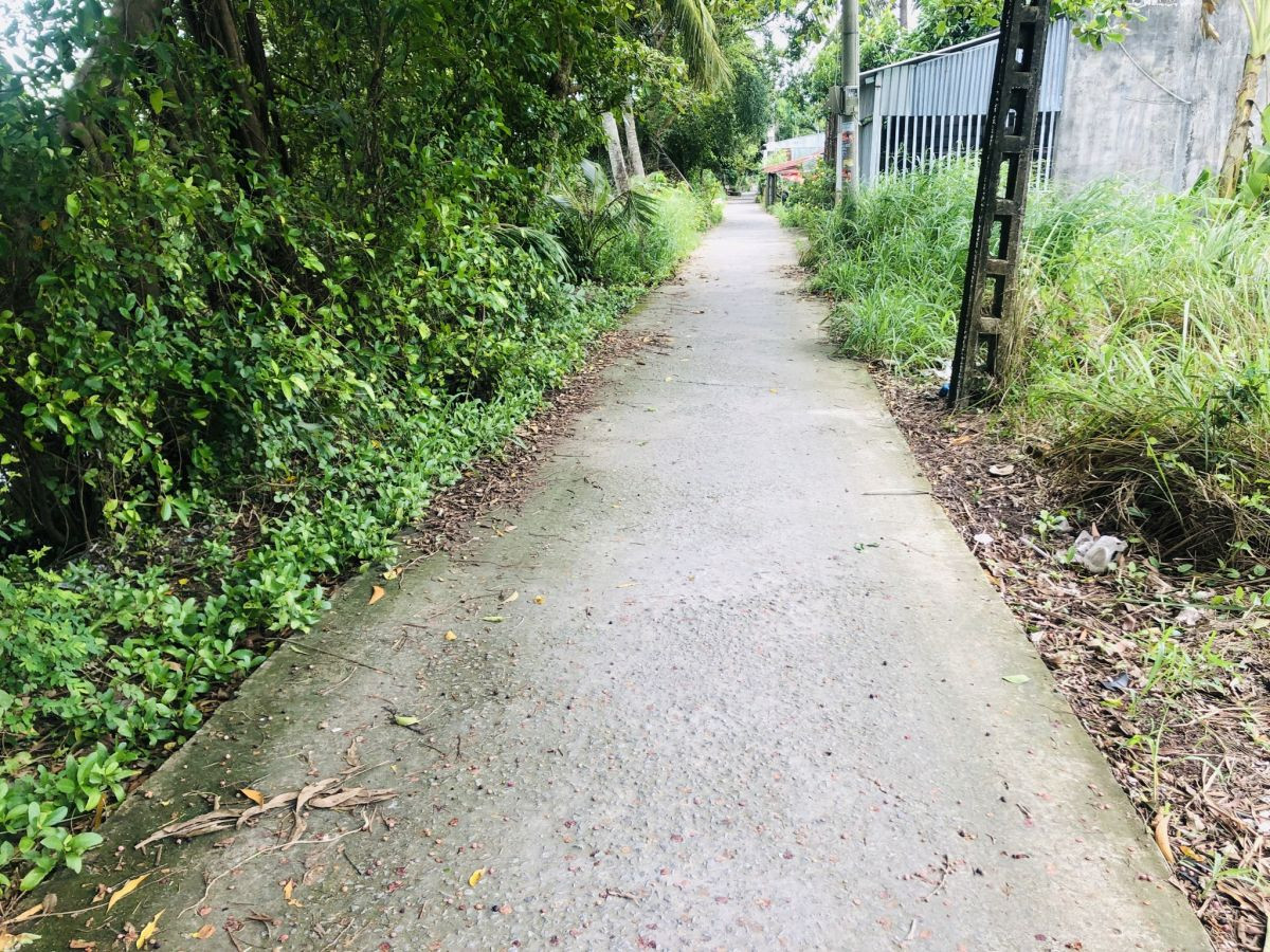 Đất Nguyễn Cư Trinh, Vĩnh Quang Rạch Giá Kiên Giang nối dài