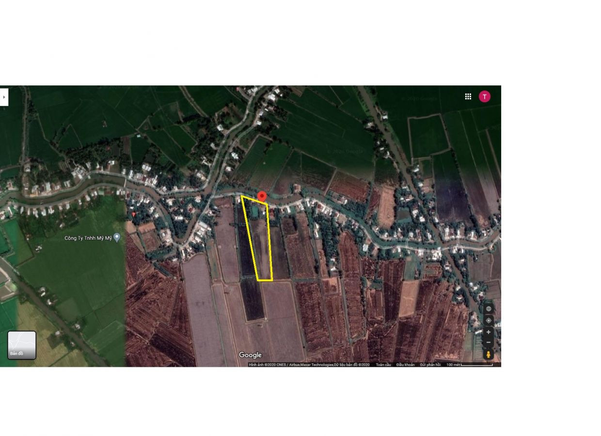Bán đất chính chủ 12.000 m2 xã Giục Tượng huyện Châu Thành, Kiên Giang
