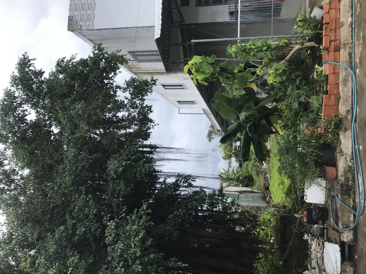 Nhà + đất Khu dân cư Hai Lai thị trấn Minh Lương huyện Châu Thành Kiên Giang, có 3 phòng trọ đang cho thuê