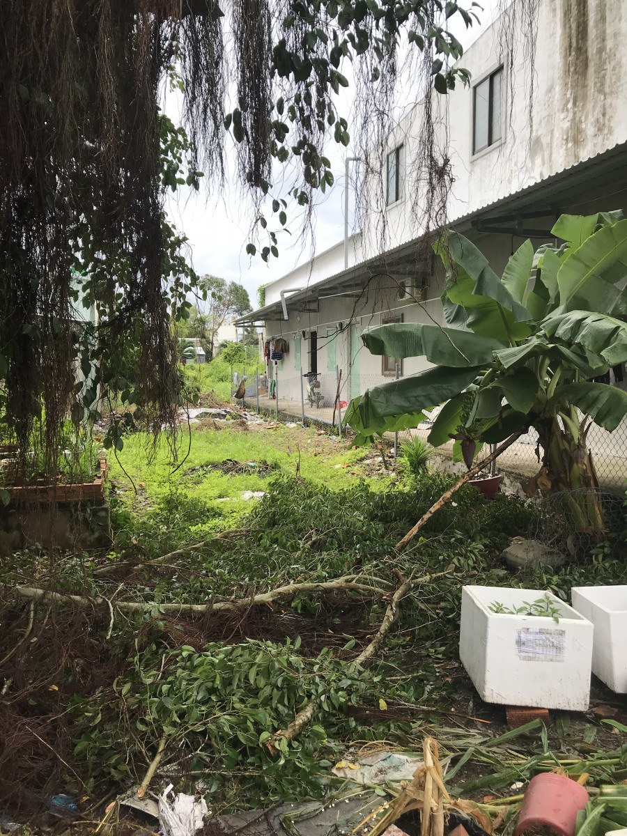 Nhà + đất Khu dân cư Hai Lai thị trấn Minh Lương huyện Châu Thành Kiên Giang, có 3 phòng trọ đang cho thuê