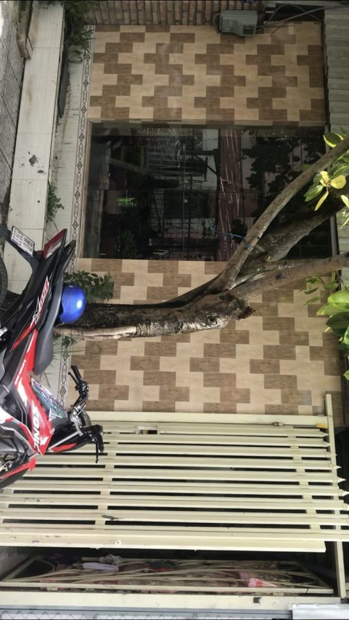 BÁN ĐẤT RẠCH GIÁ 950TR ( NHÀ + ĐẤT TRUNG TÂM PHƯỜNG VĨNH THANH, THÀNH PHỐ RẠCH GIÁ KIÊN GIANG)