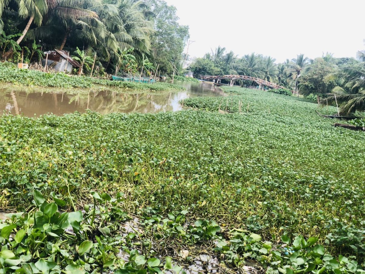 Bán đất đường Ngô Thì Sĩ, An Bình, Rạch Giá, Kiên Giang