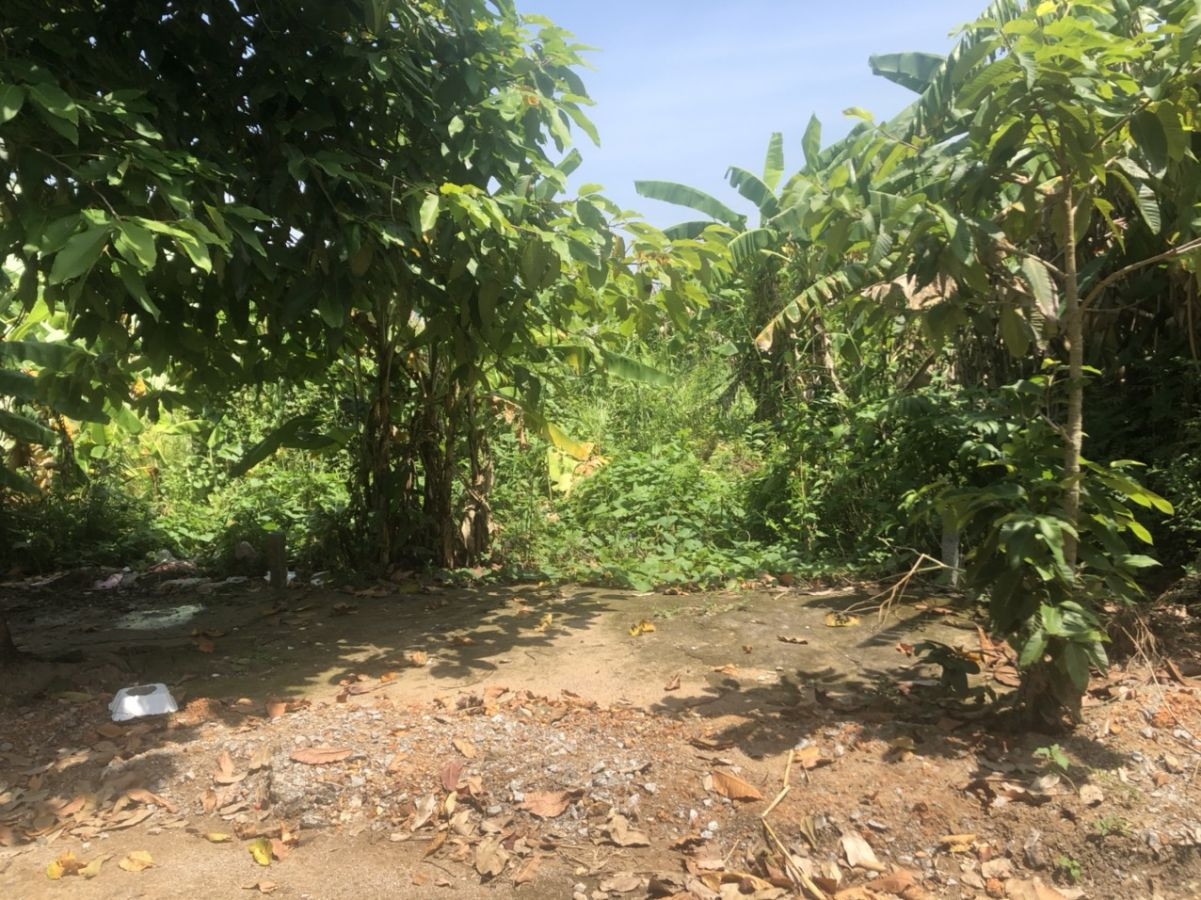 Bán đất đường Nguyễn Trung Ngạn, phường An Bình, Rạch Giá Kiên Giang.