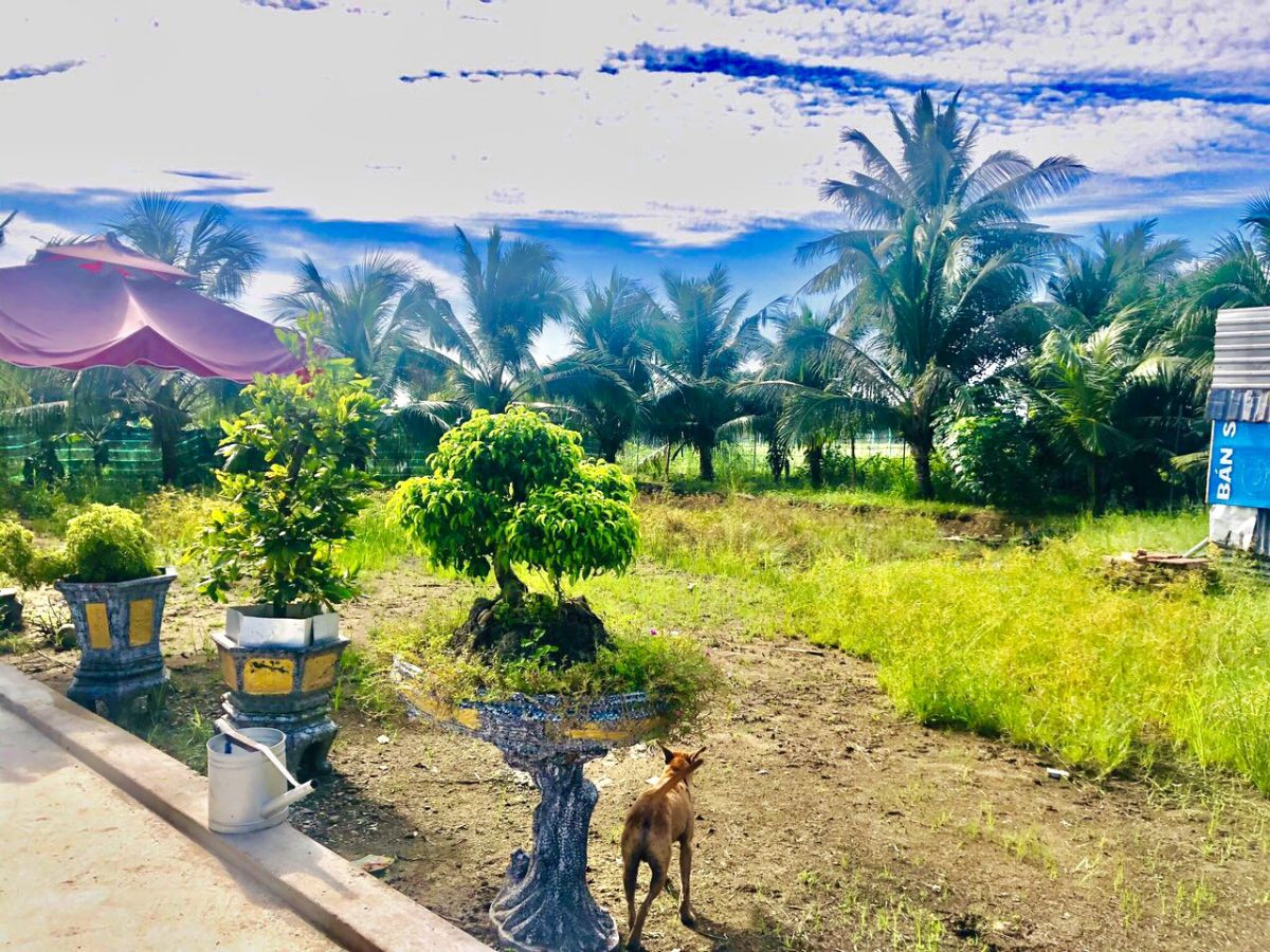 Bán gấp nhà gỗ đường Hồ Văn Huê (khu vực yên tĩnh), Vĩnh Quang, Rạch Giá, Kiên Giang