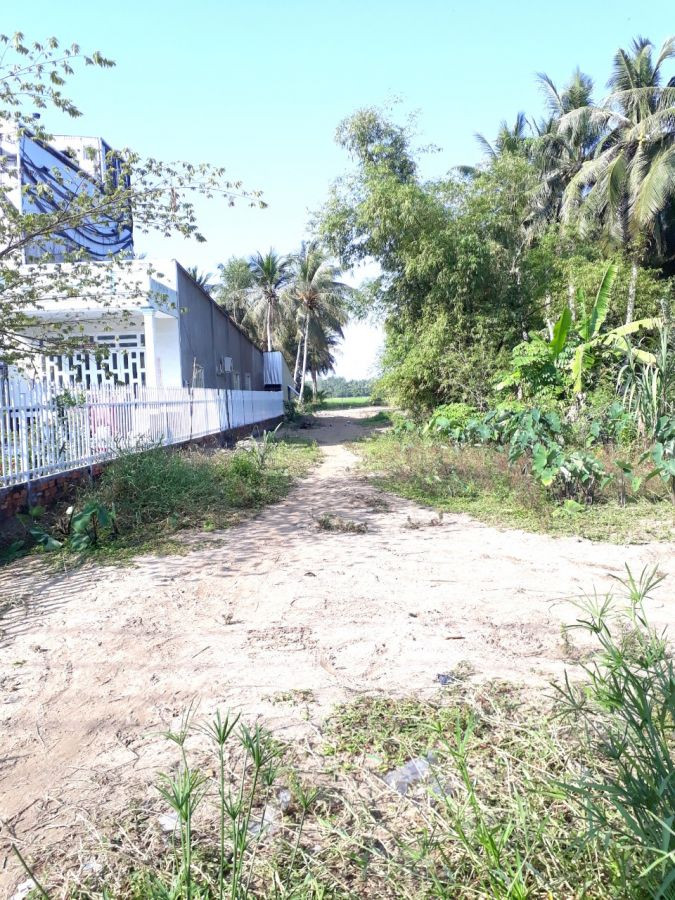 Cần bán gấp đất vườn giá đầu tư tọa lạc tại ấp minh phong.cách quốc lộ 63 tầm 100m. ( gần cảng cá tắc cậu )