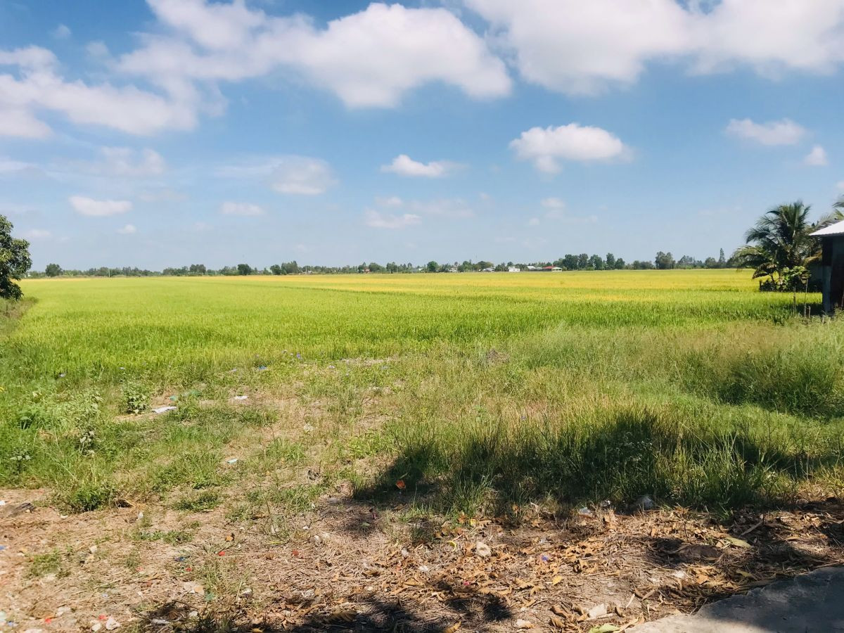 Bán đất đường Phan Văn Nhờ (cầu Rau Xanh tuyến tránh đi vào) khu phố 6, Vĩnh Thông, Rạch Giá, Kiên Giang