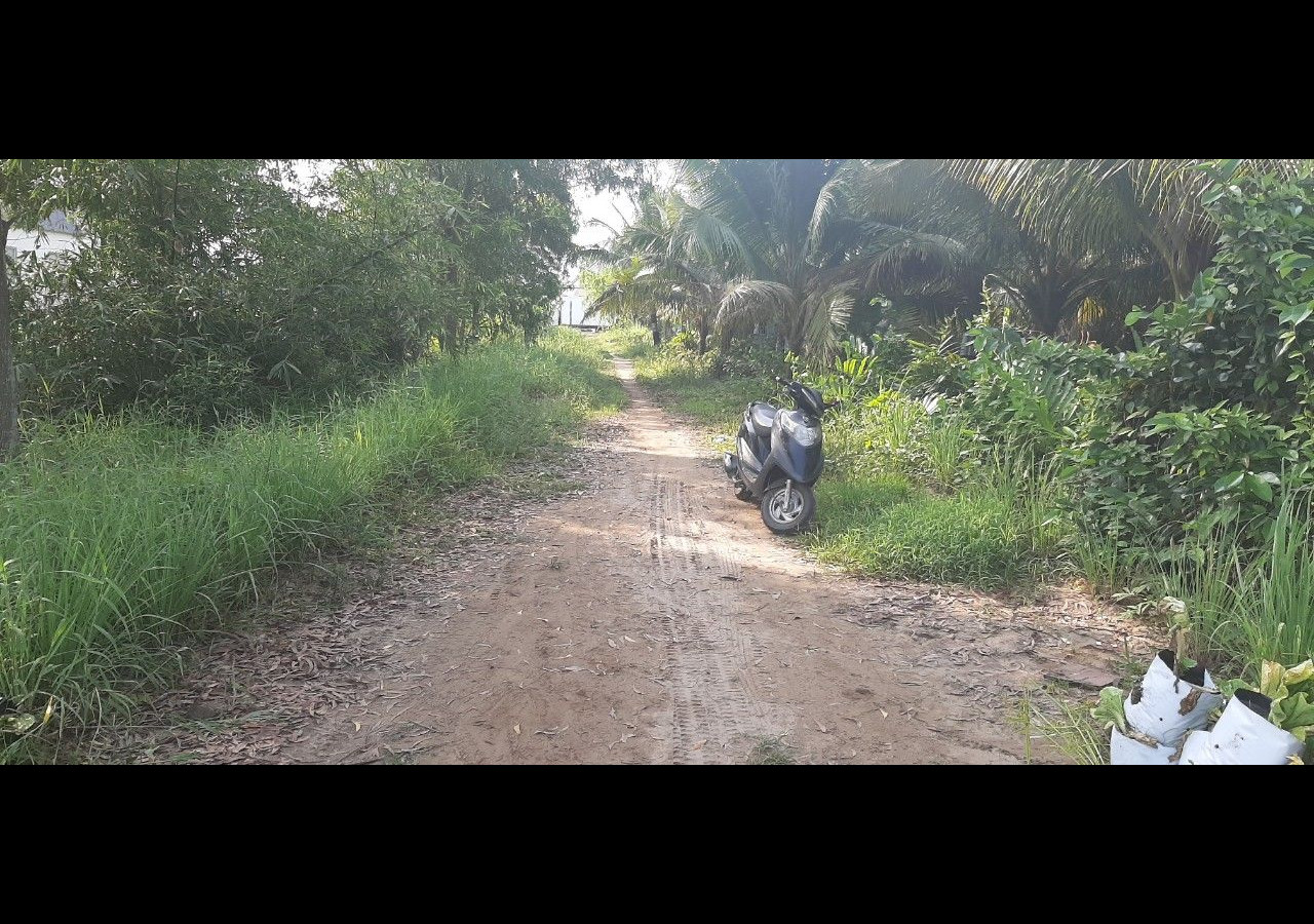 Cần bán đất ruộng Vĩnh thành B, xã Vĩnh Hòa Hiệp, huyện Châu Thành, tỉnh Kiên Giang