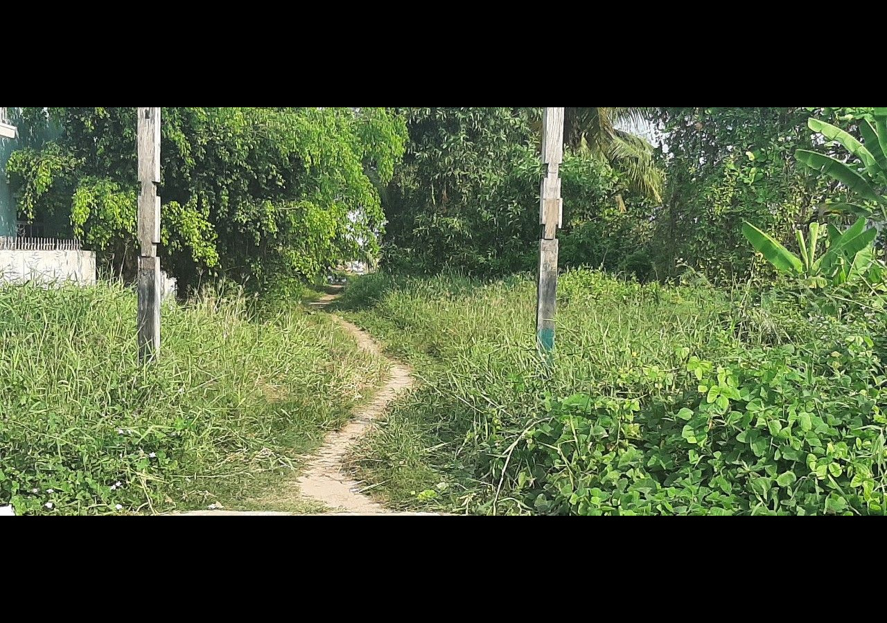 Cần bán đất ruộng Vĩnh thành B, xã Vĩnh Hòa Hiệp, huyện Châu Thành, tỉnh Kiên Giang