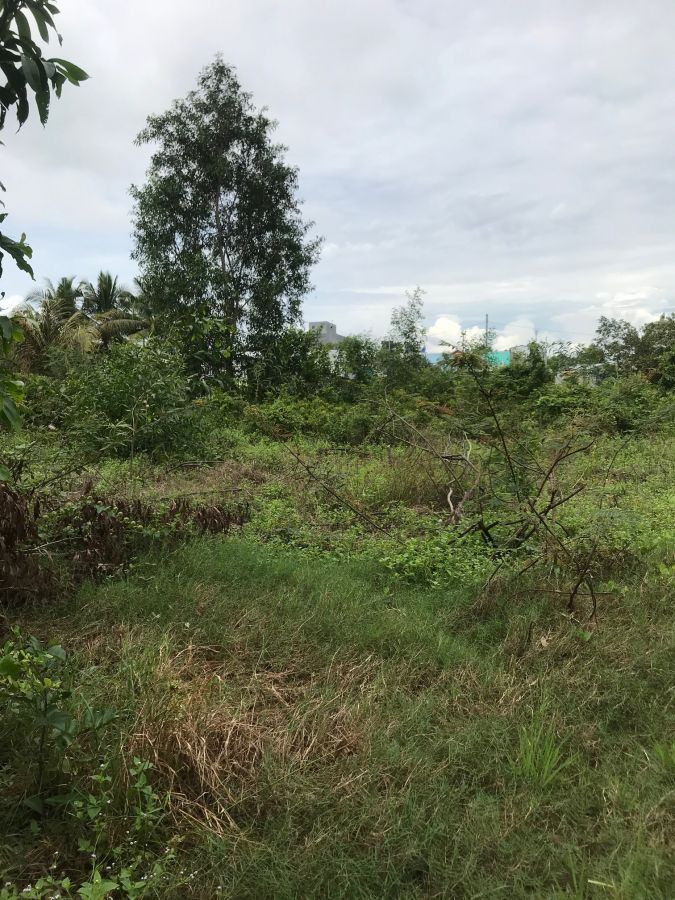 Bán đất hẻm 81 Trương Định, An Bình Rạch Giá Kiên Giang (giá đầu tư)
