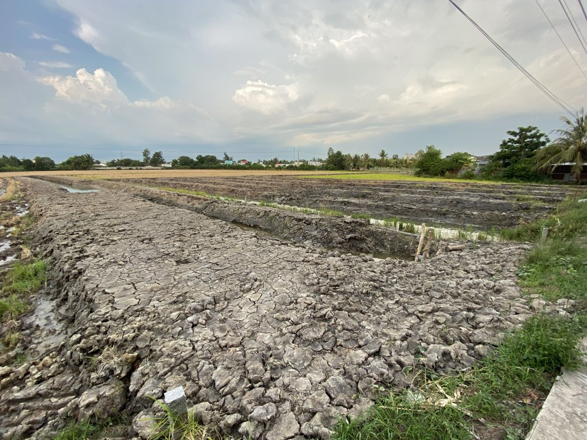 Bán đất làm nhà vườn 1000m2 (9x113), Hồ Văn Huê, Vĩnh Quang, Rạch Giá, Kiên Giang