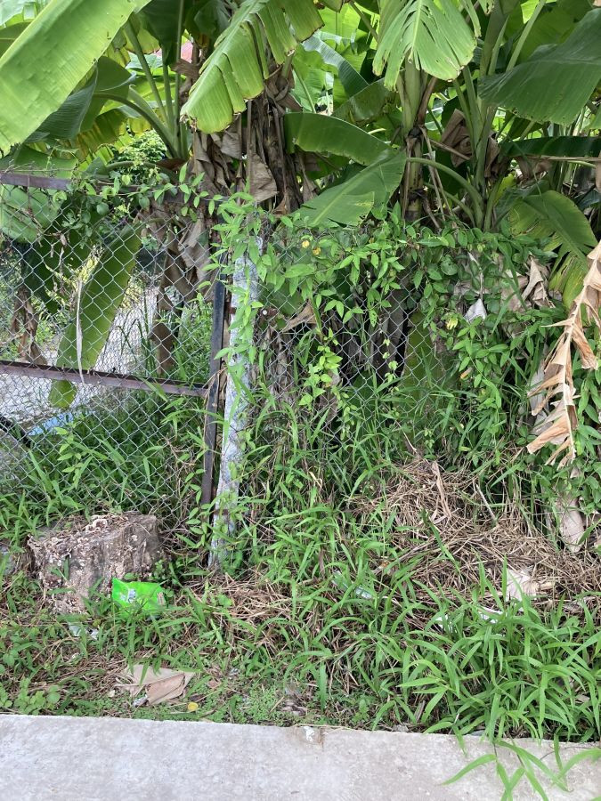 Bán Đất Vĩnh Hiệp, Rạch Giá, Kiên Giang