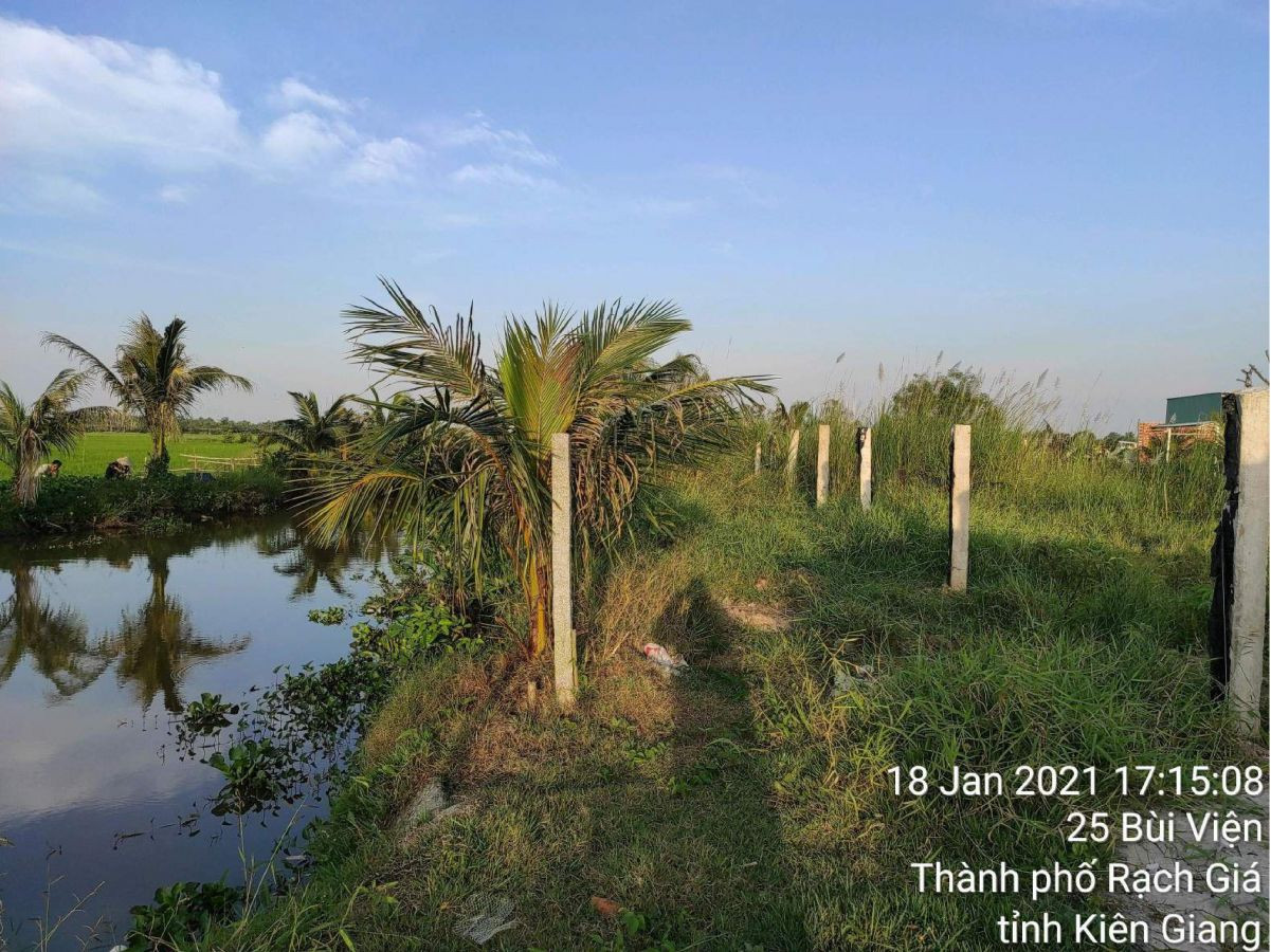 Bán đất trồng lúa 25 Bùi Viện, phường Vĩnh Lợi, TP Rạch Giá, Kiên Giang