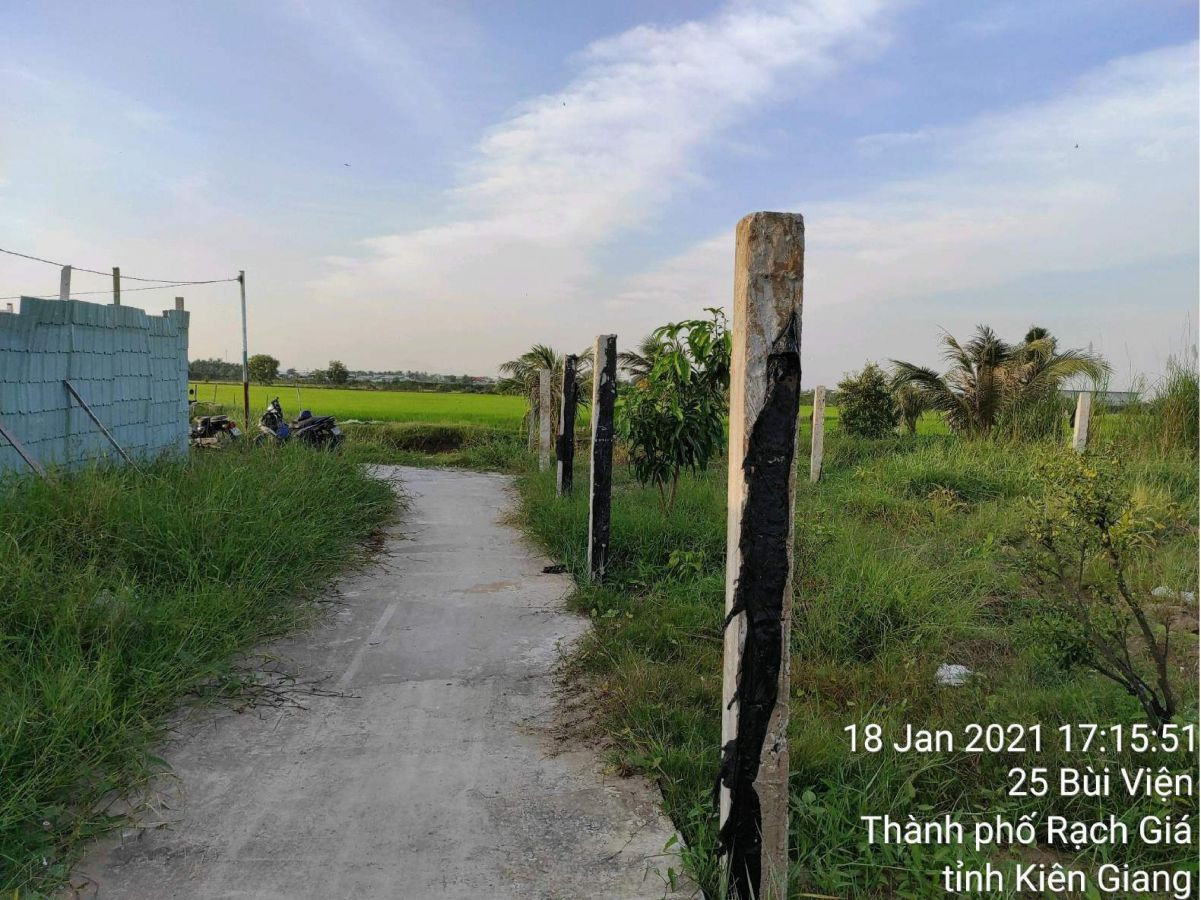 Bán đất trồng lúa 25 Bùi Viện, phường Vĩnh Lợi, TP Rạch Giá, Kiên Giang